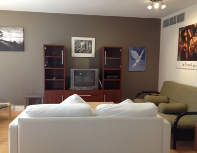 Home Staging West Island Montreal Living Room After